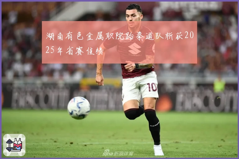 湖南有色金属职院跆拳道队斩获2025年省赛佳绩