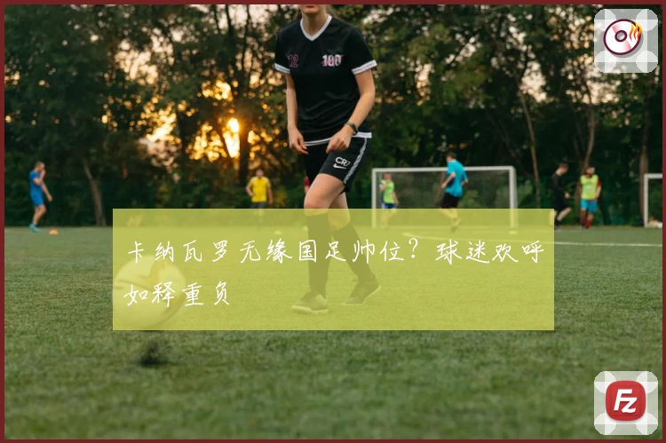 卡纳瓦罗无缘国足帅位?球迷欢呼如释重负