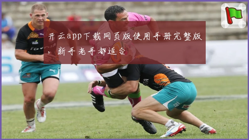 开云app下载网页版使用手册完整版，新手老手都适合