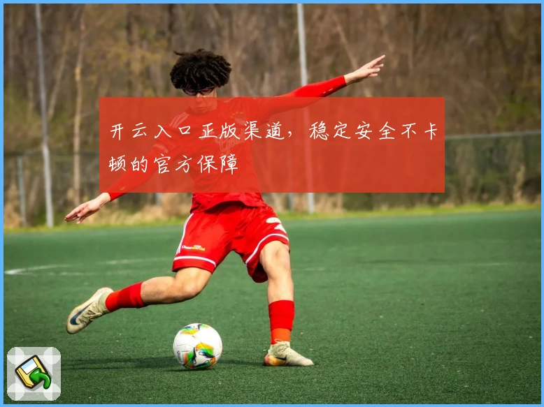 开云入口正版渠道，稳定安全不卡顿的官方保障